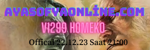 V1299 homeko.png